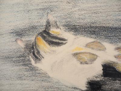 Théophile Alexandre STEINLEN - Chatte sur un lit,1933 -  Lithographie signée 2