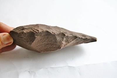 Biface d’hominidé gaucher, Paléolithique inférieur -250 000 ans 2