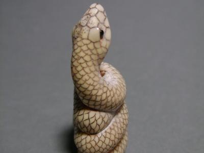 Japon, époque Taisho, Netsuke, Serpent lové 2