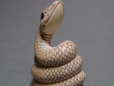 Japon, époque Taisho, Netsuke, Serpent lové 2