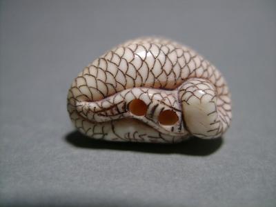 Japon, époque Taisho, Netsuke, Serpent lové 2