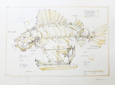 François DELAROZIERE - Le poisson pirate, 2008 - Lithographie signée au crayon 2