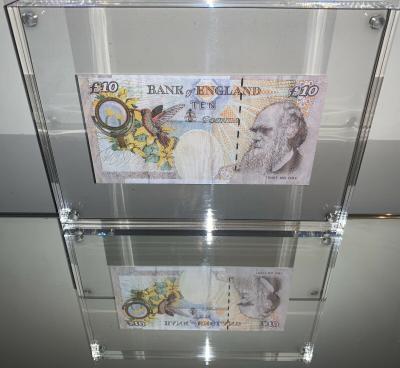 BANKSY (d’après) - Lady Di Faced 10 £  - Billet fac-similé 2