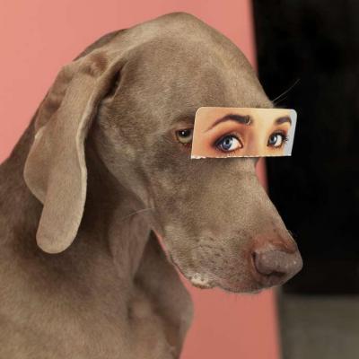 William Wegman False eyes, 2019  Epreuve couleurs signee main au dos. tirage numerique 2