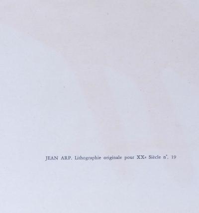 Jean ARP - Torse et nombril sur une table, 1962 - Lithographie 2