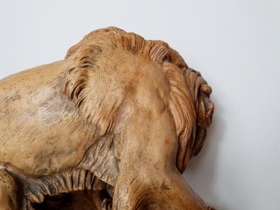 D’après Antoine Louis Barye (1795-1875) - Lion au serpent - Sculpture en plâtre - Ca. 1900 2