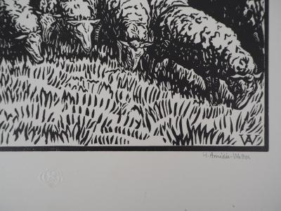Henri AMEDEE-WETTER : Creuse, Bergère et ses moutons - 1920 - Bois gravé original signé 2