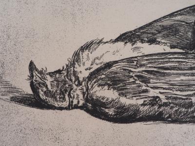 Jean-Eugène BERSIER : L’oiseau mort - Gravure originale signée 2