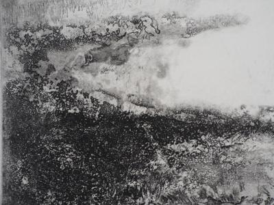 Luc GERBIER : Les marais du Roy - Gravure originale signée 2