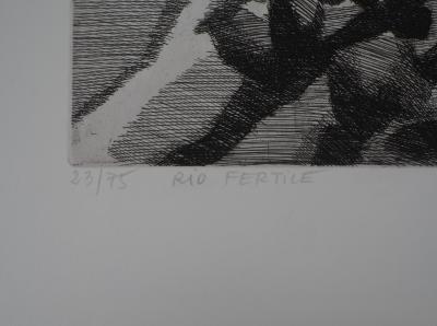CHOT PLASSOT Maurice : Rio fertile - Gravure Originale Signée 2