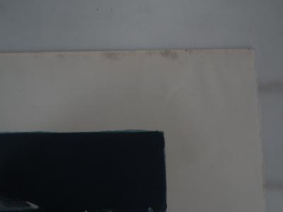 Paul AMBILLE - Course de chevaux - Lithographie Originale Signée 2