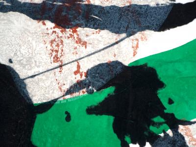 LIONEL : L'Origine du vert - Gravure en carborundum signée 2