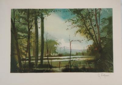 Gilles FIGUIER : La Prairie - Lithographie Originale Signée 2
