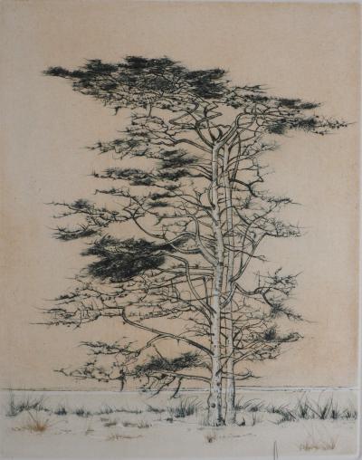 Bernard LOUEDIN : Le pin sylvestre - Gravure Originale Signée 2