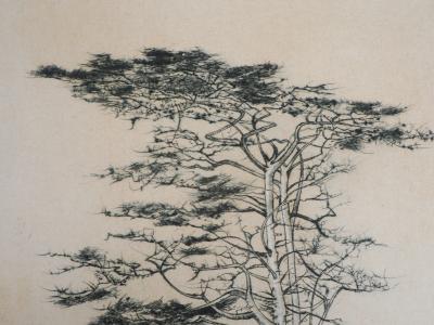Bernard LOUEDIN : Le pin sylvestre - Gravure Originale Signée 2
