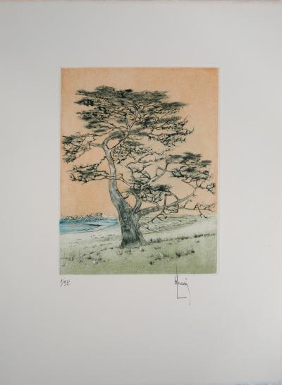 Bernard LOUEDIN : Les pins maritimes - Gravure Originale Signée 2