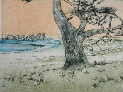 Bernard LOUEDIN : Les pins maritimes - Gravure Originale Signée 2