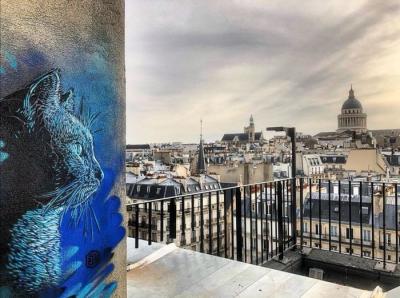 C215 (Christian Guemy)  Felix bleu, 2019 - Impression digitale signée par l’artiste 2
