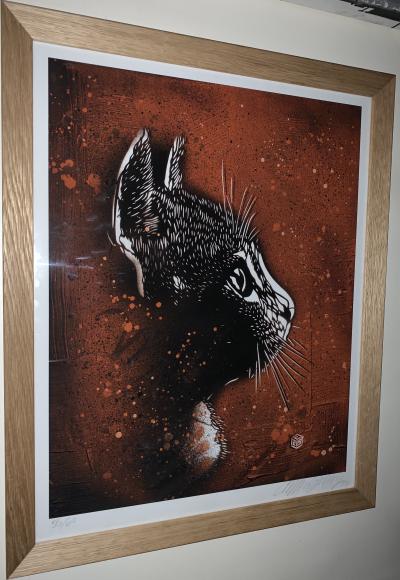 C215 (Christian Guemy) - Felix Orange - Impression digitale signée 2
