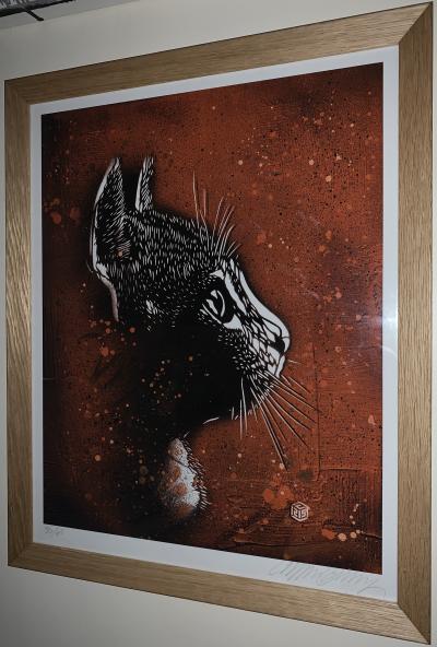 C215 (Christian Guemy) - Felix Orange - Impression digitale signée 2