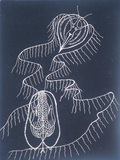 BONA : Dalila exaltée, 1962 - Gravure originale signée au crayon 2