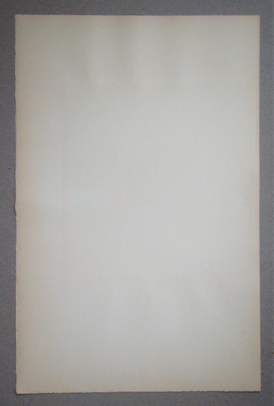 Sophie TAEUBER-ARP (d’après) - Composition verticale-horizontale sur fond blanc, 1956 - Pochoir 2