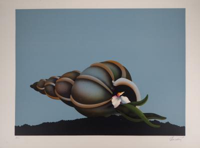 Jean-Paul DONADINI : Le coquillage - Lithographie Originale Signée 2