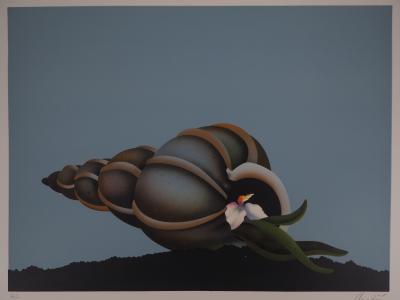 Jean-Paul DONADINI : Le coquillage - Lithographie Originale Signée 2