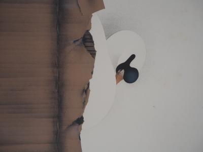 Jean-Paul DONADINI : Cygne au repos - Lithographie Originale Signée 2