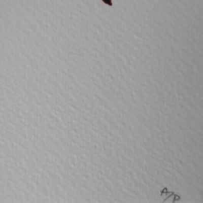 Death NYC - Snoopy Plane, 2019 - Sérigraphie signée et numérotée 2