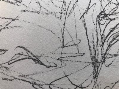 Alberto GIACOMETTI - Annette, Modèle dénudé, 1964 - Lithographie originale 2