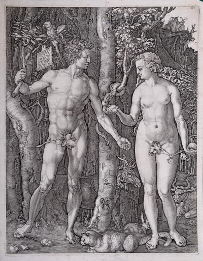 Johannes WIERIX (d’après Dürer) - Adam et Eve, 1566, gravure originale 2