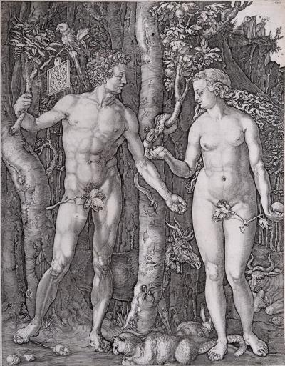 Johannes WIERIX (d’après Dürer) - Adam et Eve, 1566, gravure originale 2