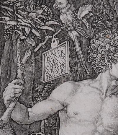 Johannes WIERIX (d’après Dürer) - Adam et Eve, 1566, gravure originale 2