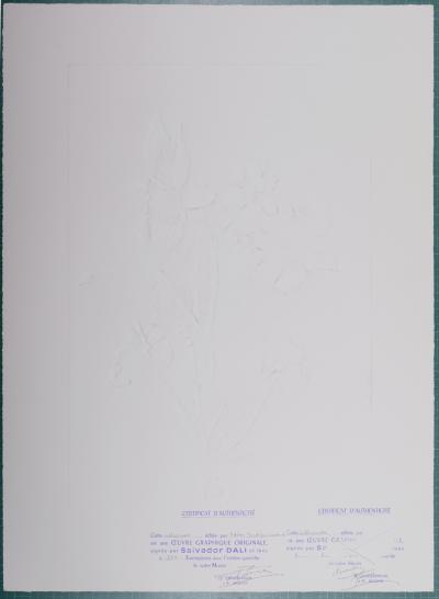 Salvador DALI - Narcissus Telephonans Inondis, 1972 - Lithographie originale signée au crayon 2
