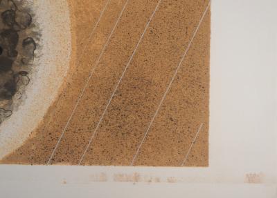 Albert ZAVARO :  Les chevaux dans la houle - Lithographie originale signée 2
