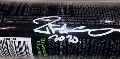 2FAST - Splash Monster Energy, sculpture 2