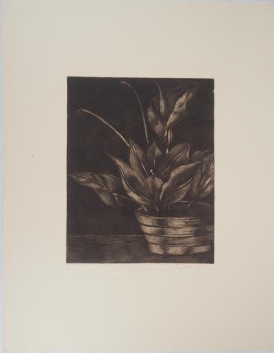 Iya FERNANDEZ: Flower Composition - Gravure signée 2