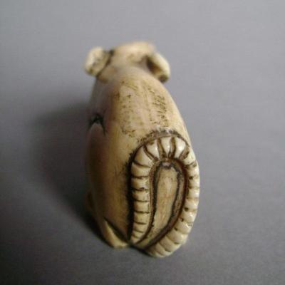 Japon - Netsuke en ivoire représentant un couple de rats 2