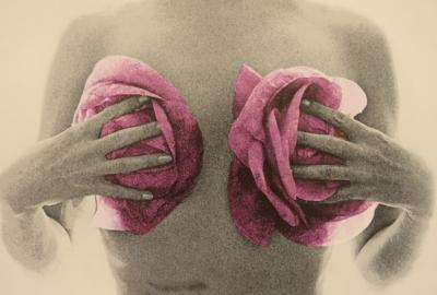 Bert Stern - Marylin Naked - Deux affiches originales d’exposition - 2012 2
