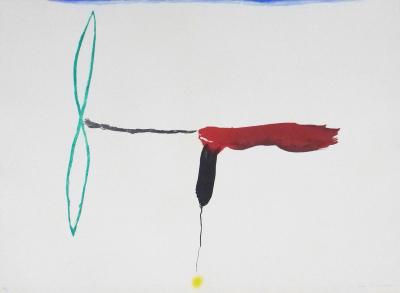 Josep Maria RIERA I ARAGO - Avion helice verde, 2010, gravure 2
