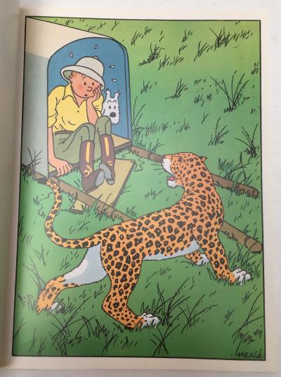 Hergé Tintin : album poster 2