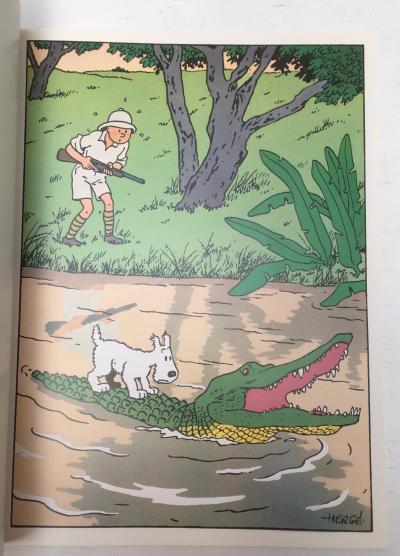 Hergé Tintin : album poster 2