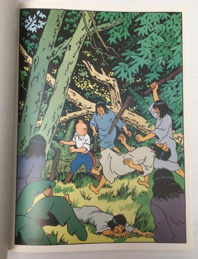 Hergé Tintin : album poster 2