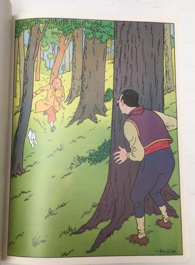Hergé Tintin : album poster 2