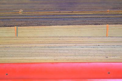 Birmanie - Bible bouddhiste, fin du XIXème siècle 2