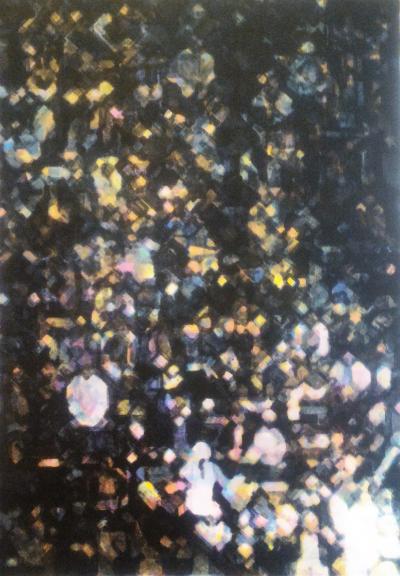 Stephen Andrews - A small part of something great 1, 2010, lithographie 2