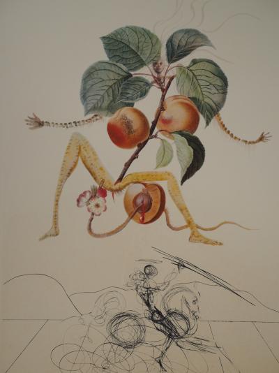 Salvador Dali : Flordali, L’abricot chevalier - Gravure originale signée 2