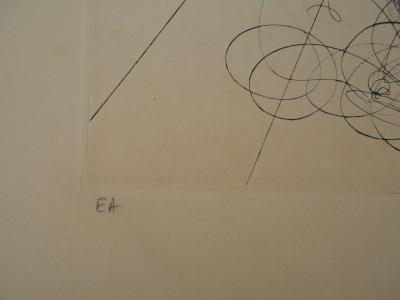 Salvador Dali : Flordali, L’abricot chevalier - Gravure originale signée 2