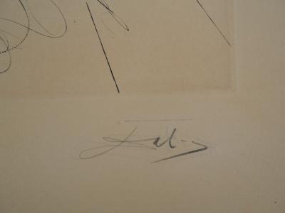 Salvador Dali : Flordali, L’abricot chevalier - Gravure originale signée 2